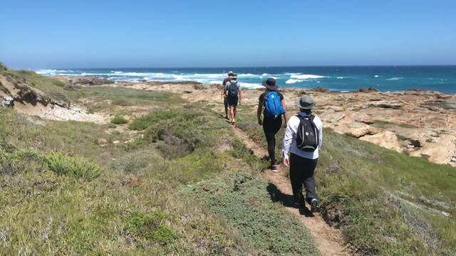 Cape-st-francis-marine-protected-areas Cape-st-francis-marine-protected-areas