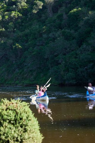 canal and river cruises at cape st francis resort activites 27