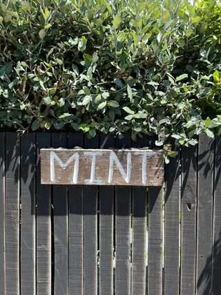 mint village break self catering accommodation in cape st francis 1